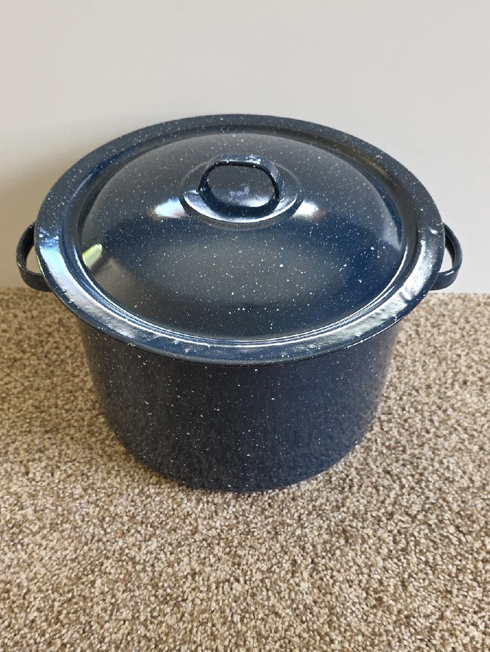 Stock Pot - Speckled Blue Enamel Stock Pot with Lid